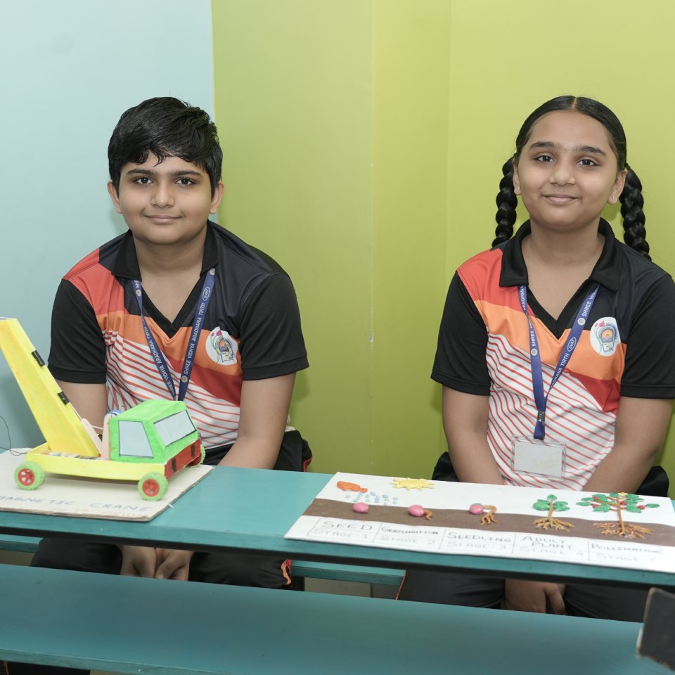 School ACtivity